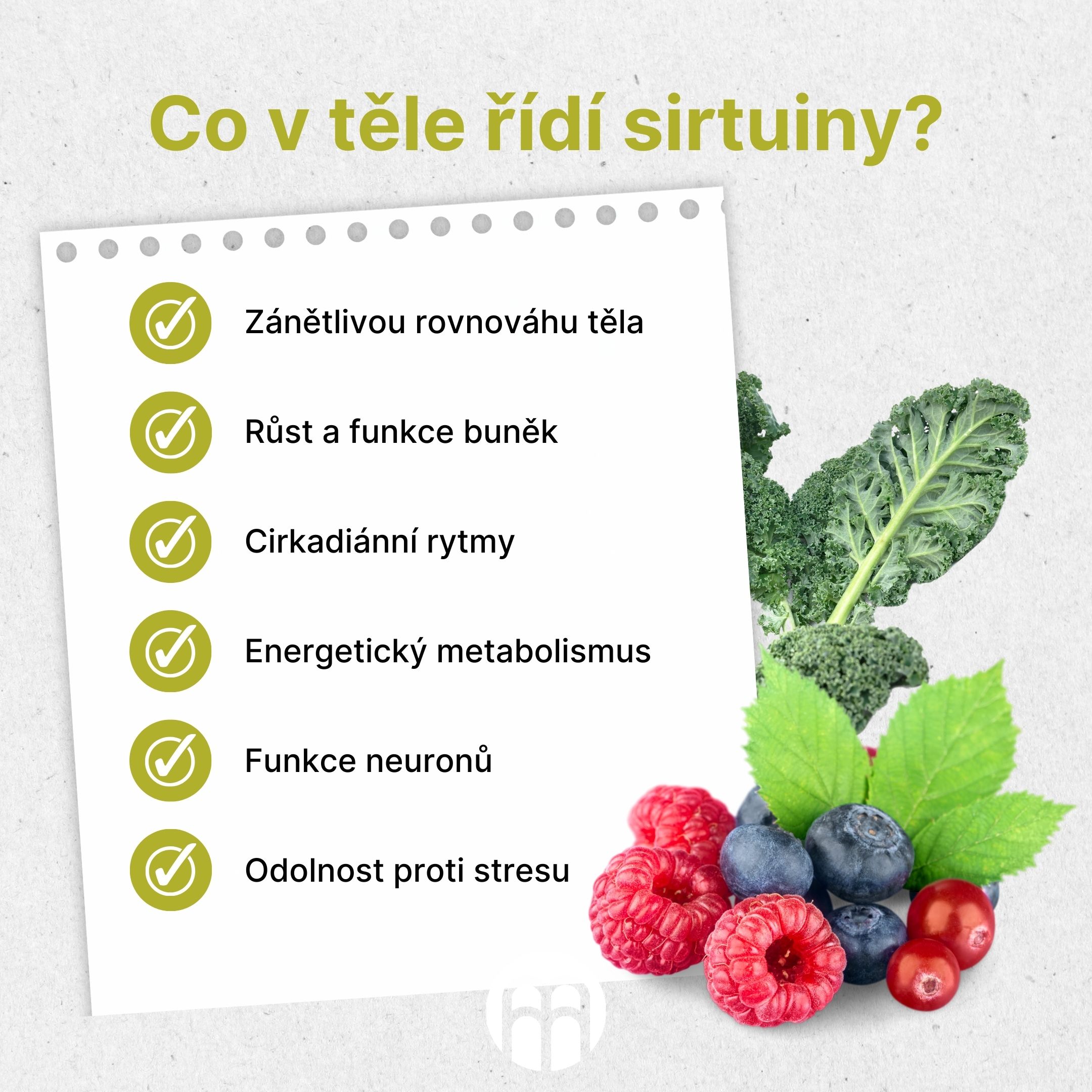 Co v těle řídí sirtuiny